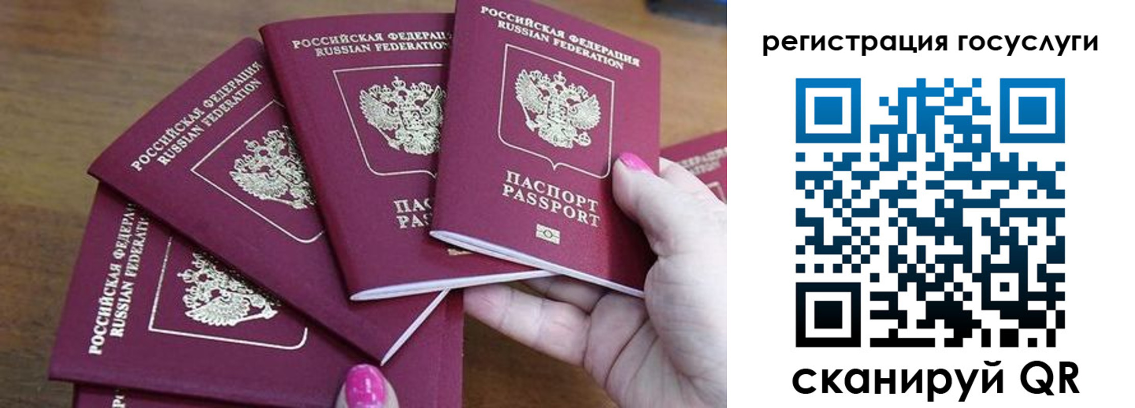 пропишу в квартире в Калининграде
